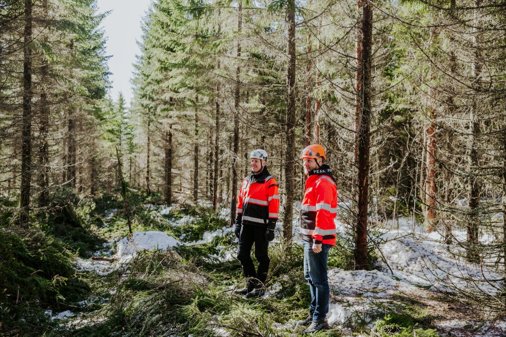 Työ metsäalalla sisältää esimerkiksi harvennushakkuita