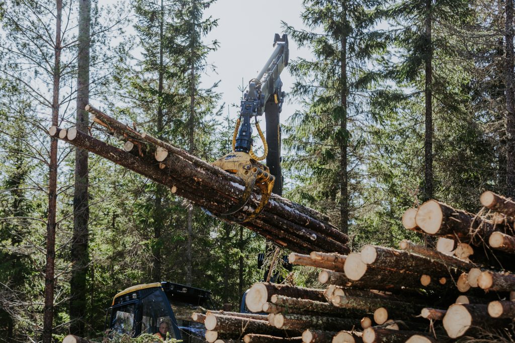 Työhön metsäalalla kuuluu myös puiden ajaminen ja pinoaminen