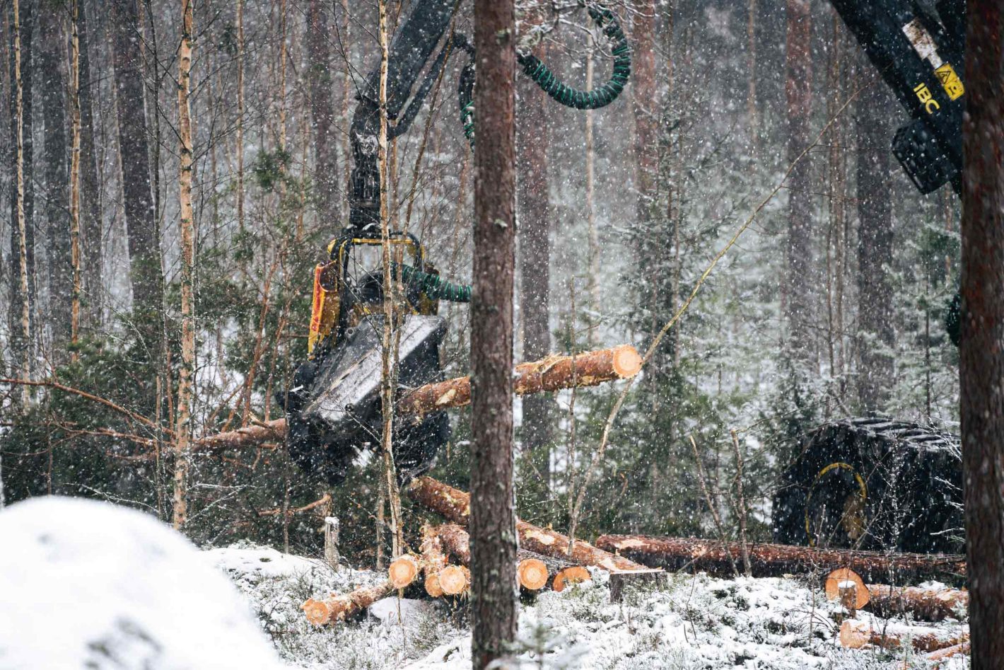 Metsäkoneenkuljettajan työn kausivaihtelut – Mitä kuljettaja tekee hiljaisina kausina?